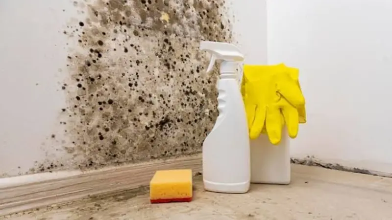 Black mold spots on a wall corner with a spray bottle and yellow gloves on the floor